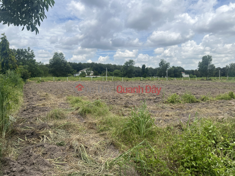Property Search Vietnam | OneDay | Residential, Sales Listings Urgent Sale of Land Plot next to District People's Committee, Residential Land, Ready Book!