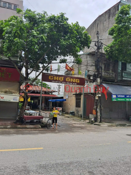 LAND FOR SALE WITH FREE 4-level house 91m² IN VAN HA, DONG ANH - SUPER CHEAP PRICE! Sales Listings