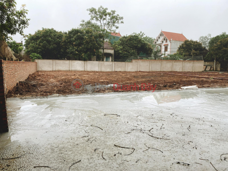 Property Search Vietnam | OneDay | Residential | Sales Listings, Selling a plot of land located on a wide road right in the center of Hoa Nghia ward - near Vinhomes Duong Kinh urban area. Cheap