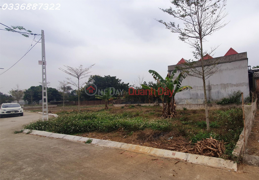 Property Search Vietnam | OneDay | Residential Sales Listings The owner needs to sell 2 adjacent plots of residential land in Doi Sen Village, Binh Yen Commune, Thach That