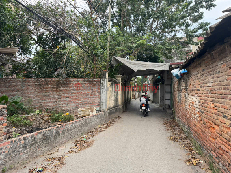 Bán Đất Trục Chính Chi Đông, Mê Linh - 86m2 Full Thổ Cư - Kinh Doanh Tốt - Sổ Đỏ Sẵn Sàng Niêm yết bán
