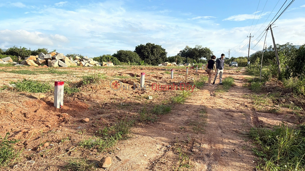 Land for sale, opposite Suoi Dau Industrial Cluster in Cam Tam, Khanh Hoa. 128m2, price 830 million VND, full residential land title. Sales Listings