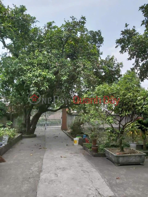 Beautiful Land - Good Price - Need to Sell Land Lot in Good Location in Cong Hoa, Kim Thanh, Hai Duong _0