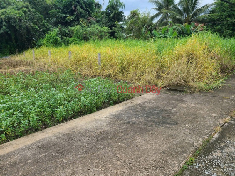 đ 1,1 tỷ, ĐẤT SIÊU ĐẸP - GIÁ TỐT - Bán GẤP Lô Đất Tiềm Năng Tại Long Khánh Xã Phước Hậu, Cần Giuộc Long An