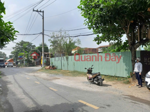 LAND FOR SALE BY OWNER - GOOD PRICE Owner selling quickly a potential plot of land in District 9, Ho Chi Minh City _0