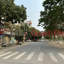 Vip Giang Bien Street, Sidewalk, Business, 4 Cars, Garage, Elevator, Park View. _0