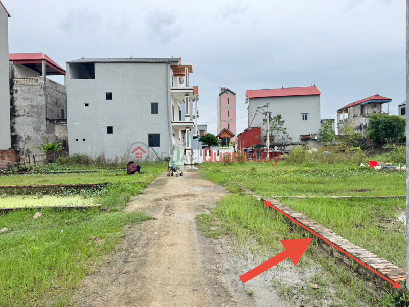 Hot! Rare Land 36m2 - Car Access - Near Quang Minh Industrial Park, Me Linh, Hanoi Sales Listings