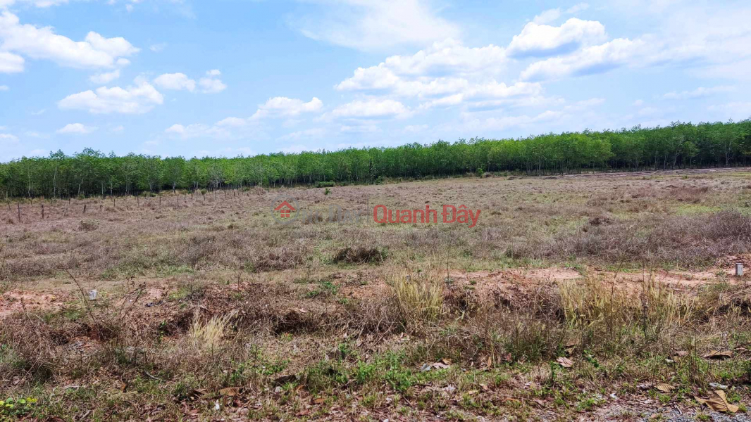 đất nền lộc thành lộc ninh đầu tư siêu lời Vietnam, Sales đ 1 Billion