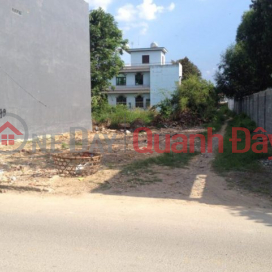 Hot item in Bien Hoa - Residential land pair for sale in Bien Hoa - 10x21 - 1 billion 450 million - 8M road _0