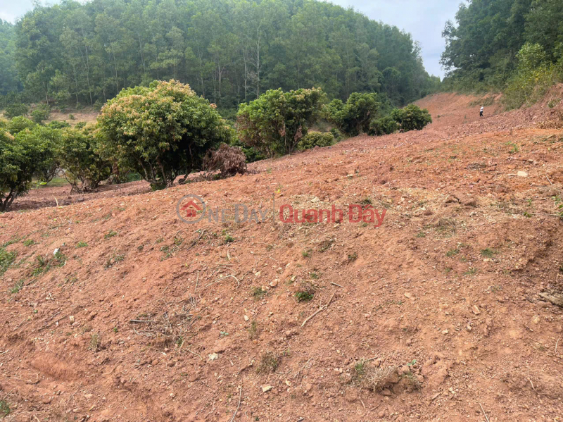 Property Search Vietnam | OneDay | Residential Sales Listings, HIGH PROFITABLE INVESTMENT OPPORTUNITY LAND IN CHU TOWN - BAC GIANG - OWN A FARM WITH STABLE CASH FLOW