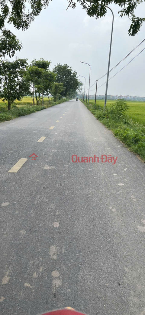 Land for sale in Thuong Phuc village, Bac Hong, Dong Anh. Main road between communes, business frontage _0