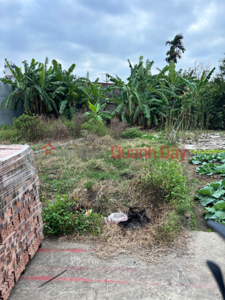 đ 1.85 Billion 87m² residential land in Quy Kim – Hop Duc – Do Son, over 100m from Highway 353. Rare investment opportunity in a residential area. ZALO 0567