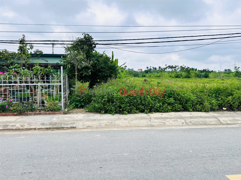 Giá 2.5x tỷ – Lô 149,8m² mặt đường nhựa TDP Quyết Tiến Hợp Đức, trục to hiếm ZALO 0567 222 555 Việt Nam, Bán | đ 2,59 tỷ