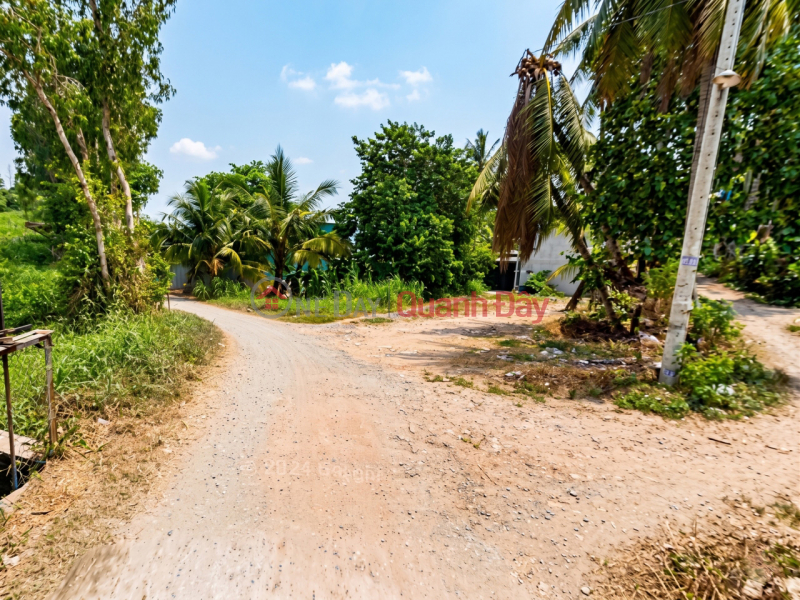 L2282 LAND PLOT IN THANH XUAN 31 - SHOCKING PRICE 4.X BILLION VND! | Vietnam | Sales | đ 4.8 Billion