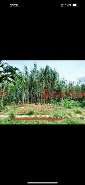 OWNER Needs to Sell Residential Plot Quickly in Tan Phu Residential Area, Cai Rang District, Can Tho, Vietnam Sales | đ 1.5 Billion