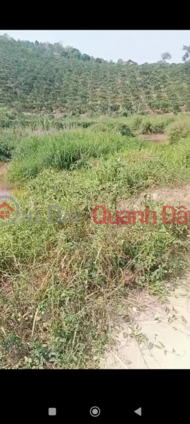 OWNER NEEDS TO SELL LOT OF LAND URGENTLY Ro Men, Dam Rong, Lam Dong | Vietnam Sales đ 5 Billion