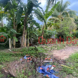 BEAUTIFUL LAND - GOOD PRICE - OWNER FOR SALE At Long Hung, Chau Thanh, Tien Giang _0