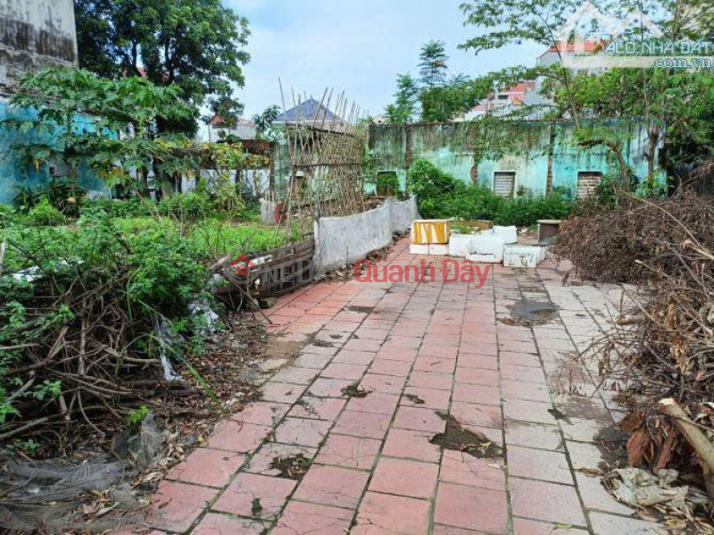 Land for sale next to Highway 36 extension, Bang An, Que Vo, Bac Ninh Sales Listings