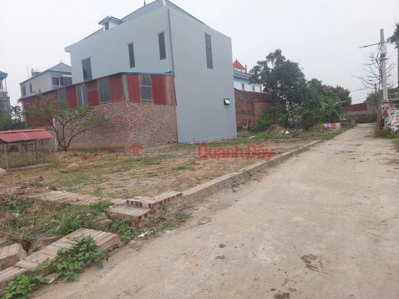 Bán gấp 50m đất tổ 9, Quang Minh, Mê Linh. (Nay là thôn Ấp Tre). Full thổ cư, mặt tiền rộng, Việt Nam, Bán | đ 2,12 tỷ