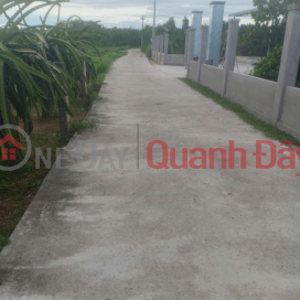 Urgent sale of concrete frontage land in Lam Giao quarter - Ma Lam - Ham Thuan Bac - Lam Dong _0