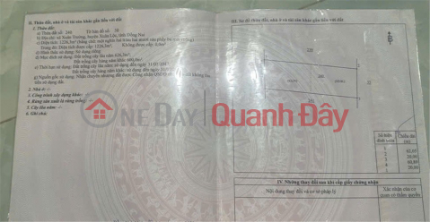 Owner Sells Land To Take Care Of His Siblings' Education In Xuan Truong Commune, Xuan Loc, Dong Nai _0