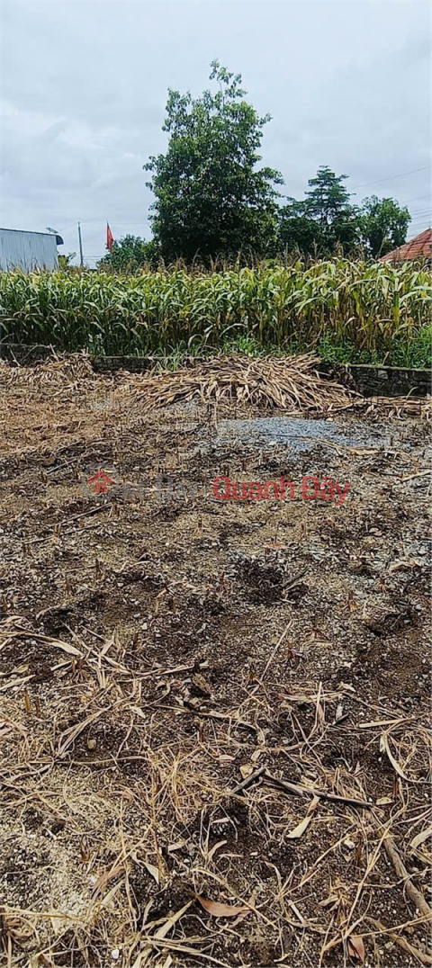 OWNER NEEDS TO SELL A BEAUTIFUL LOT OF LAND IN PHU LOI, DINH QUAN, Dong Nai - GOOD PRICE, HIGH POTENTIAL! _0