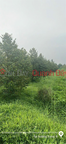 BEAUTIFUL LAND - PROFITABLE INVESTMENT - Durian Garden Land for Sale RI6 Tan Thoi Commune, Phong Dien, Can Tho, Vietnam Sales, đ 1.65 Billion