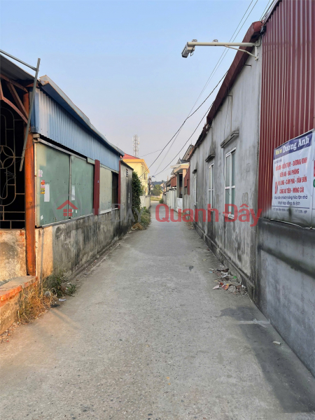 đ 1,13 tỷ, Lô góc hiếm giá chỉ hơn 1 tỷ trung tâm Bàng La, Đồ Sơn ZALO 0567 222 555