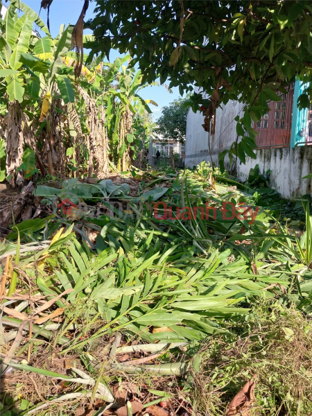 Property Search Vietnam | OneDay | Nhà ở | Niêm yết bán HOT !!! ĐẤT 2 MẶT TIỀN LỚN - Chính Chủ Cần Bán Đất Đường Phan Văn Đáng, Phường 9, TP Vĩnh Long