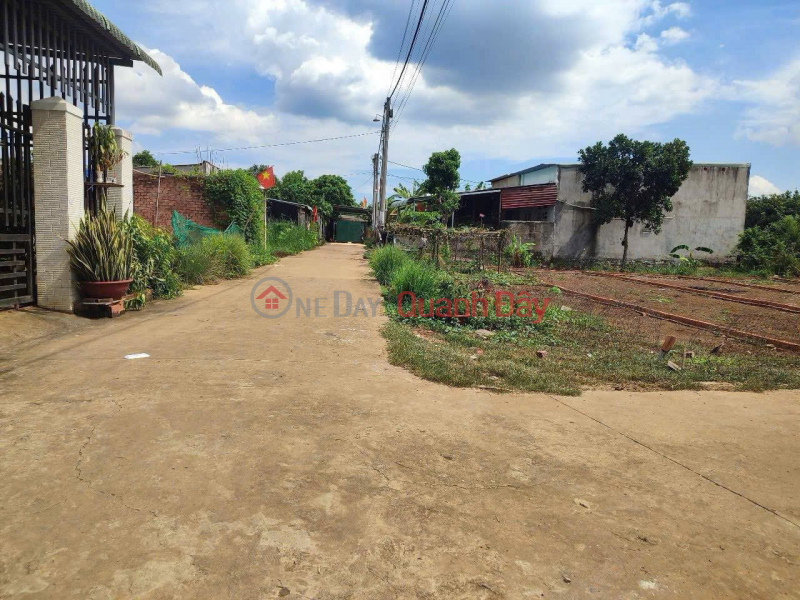 Land for sale in Tay Hoa Trang Bom 5x20, residential land, separate title Sales Listings