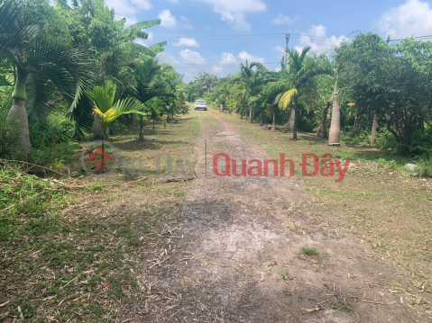 SELLING MORE THAN 50,000M2 OF INDUSTRIAL LAND IN TAY GIANG, TIEN HAI AT VERY GOOD PRICE _0