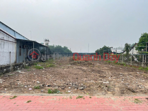 OWNER SENDS FOR QUICK SALE Lot of Land Frontage on Provincial Road 8, Hoa Phu Commune, Cu Chi District, Ho Chi Minh City _0