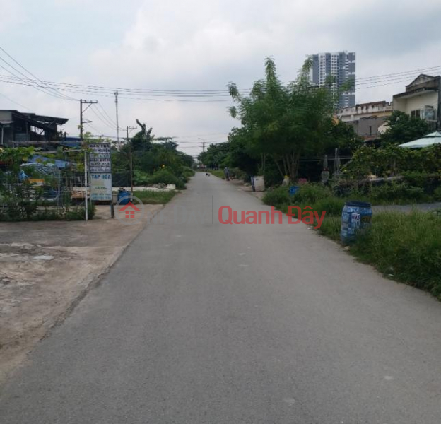 Urgent sale of land lot frontage of Street 18, Lac Thuan Quarter, Lac Tanh Town, Tanh Linh District, Binh Thuan Province Sales Listings