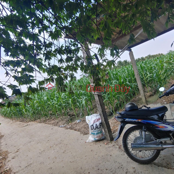 OWNER FOR SALE Lot of Land with Beautiful Location at Binh Long Hamlet, Thanh Binh Commune, Cho Gao, Tien Giang Vietnam, Sales ₫ 800 Million
