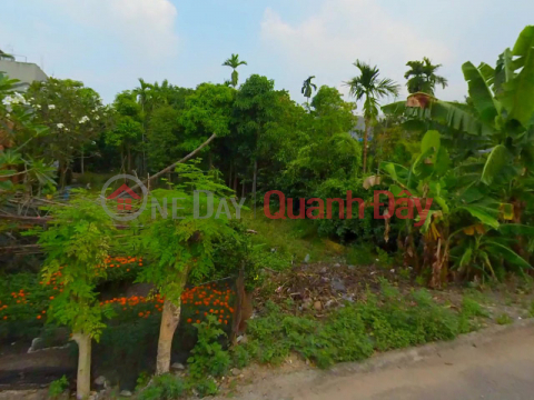 Đất Mặt tiền SHR Đ.8m 183m2 – Thạnh Lộc 50 Quận 12 SS _0