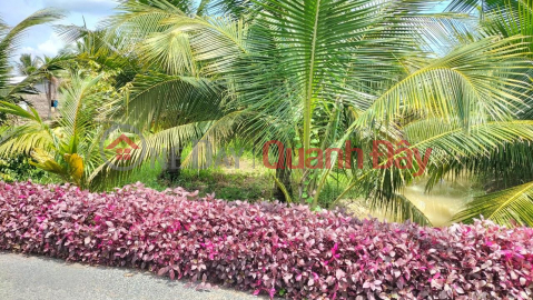 BEAUTIFUL LAND - GOOD PRICE - ORIGINAL NEED TO SELL Plot Land In Long Duc Commune, Tra Vinh City, Tra Vinh _0