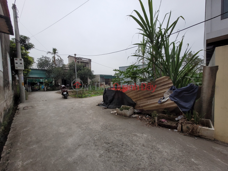 Property Search Vietnam | OneDay | Residential, Sales Listings, 41m - corner lot - Ngoc Hoa, Chuong My, Hanoi - only a few hundred million with full amenities