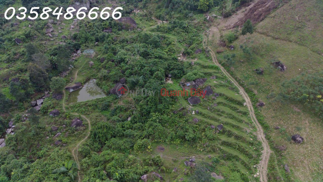 Property Search Vietnam | OneDay | Residential Sales Listings | Owner needs to sell 40,000m2 of land for eco-tourism resort in Luc Binh commune, Bac Kan province, price only 3txyz
