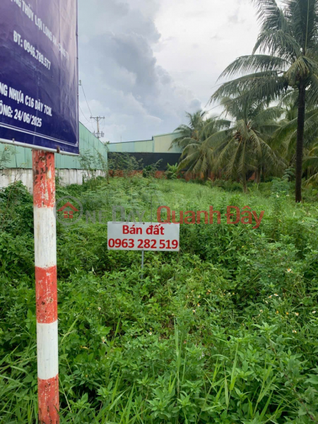 GOOD LOCATION - INVESTMENT IS PROFITABLE - Owner Sells Land Lot on National Highway 57, An Dinh Commune, Mo Cay Nam, Ben Tre Sales Listings