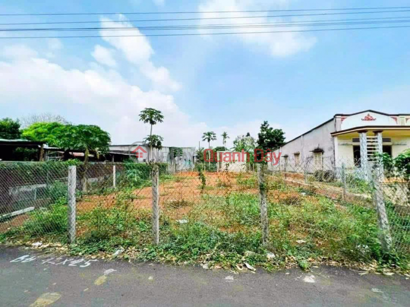 HOT !!! Land for Sale in Chon Thanh Area Near Quang Minh Market, Near Vincom Chon Thanh Vietnam | Sales đ 450 Million