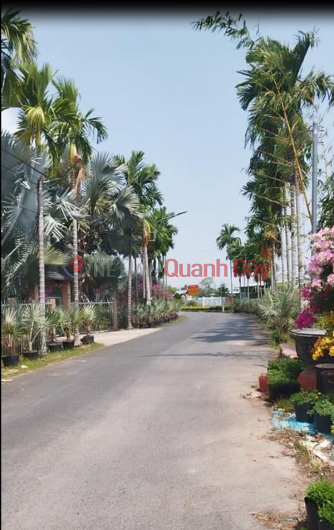 House for sale on Tran Khanh Du Street - Sa Dec Flower Village area, 380m2, price 2.8 billion VND. _0