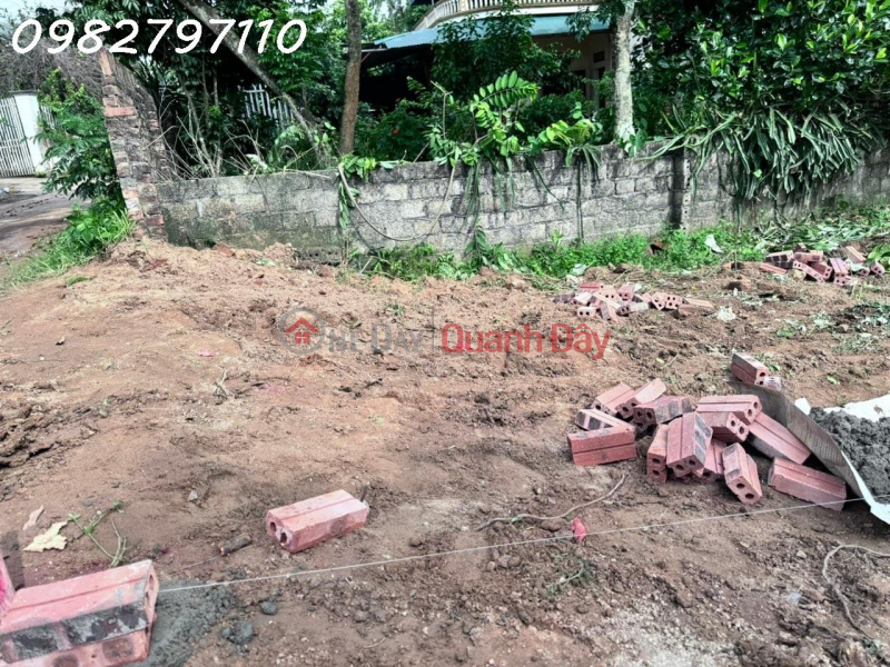 Property Search Vietnam | OneDay | Residential | Sales Listings | Selling a 120m plot of land with a book, in Hop Chau town - Tam Dao - Vinh Phuc, investment price