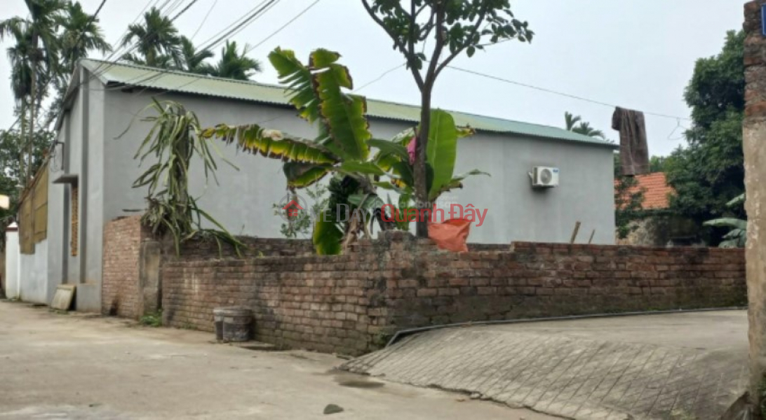 Property Search Vietnam | OneDay | Residential Sales Listings Selling investment land near the south of Phong, Phu Xuyen, corner lot for car to land for 1.x billion