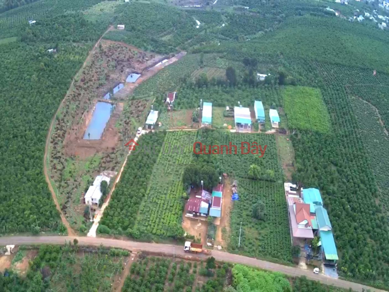 Property Search Vietnam | OneDay | Residential Sales Listings The owner urgently issued a suitable plot of land to subdivide right on provincial road 725 located in Loc Thang residential area, Bao Lam.