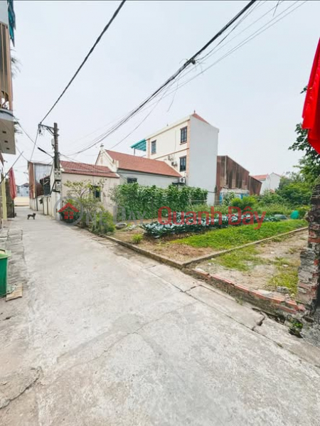 64M² land in La Thach - Phuong Dinh - Dan Phuong | Vietnam, Sales đ 4.3 Billion
