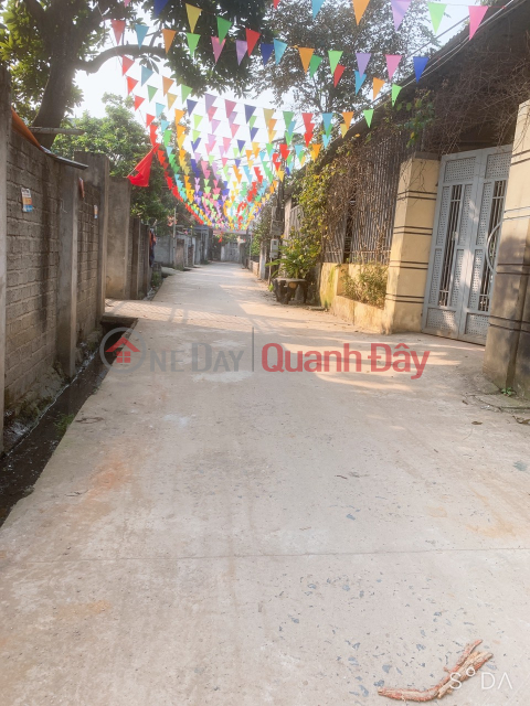 LAND LOT FOR SALE 74.8M2 DONG SON-CHUONG MY-HANOI _0