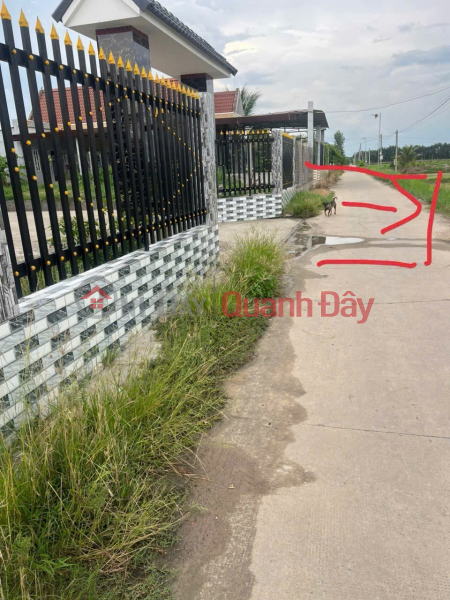 BEAUTIFUL LAND - GOOD PRICE - URGENTLY SELLING A PLOT OF POTENTIAL LAND IN BINH Thanh COMMUNE, Duc Hue, Long An Sales Listings