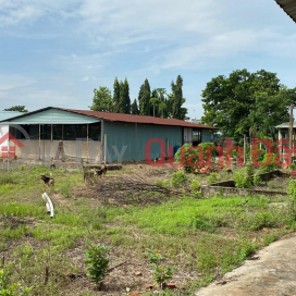 FOR SALE 5009 m2 Land for Production and Construction My Hanh Street, Duc Hoa, Long An _0