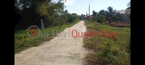 OWNER selling land - Good price - Beautiful plot of land for sale in My Quy Tay commune, Duc Hue district, Long An province. _0