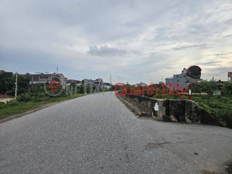 GOLDEN LAND IN THE CENTER OF HO WARD - CAR ACCESS - OWNER'S RED BOOK - 1.65 BILLION! _0